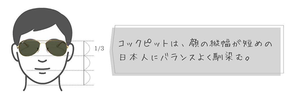 レイバン　日本人　コックピット