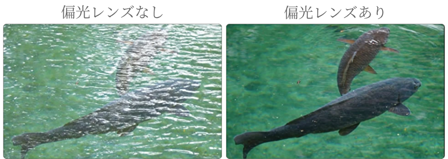 運転用　サングラス　偏光レンズ