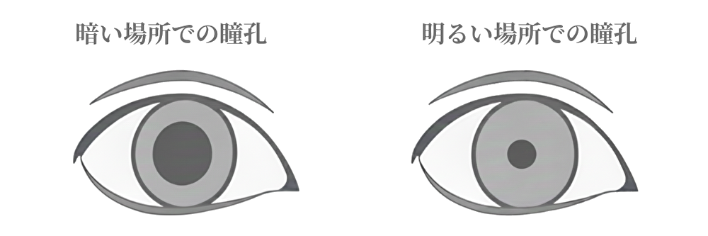 運転 逆光 サングラス