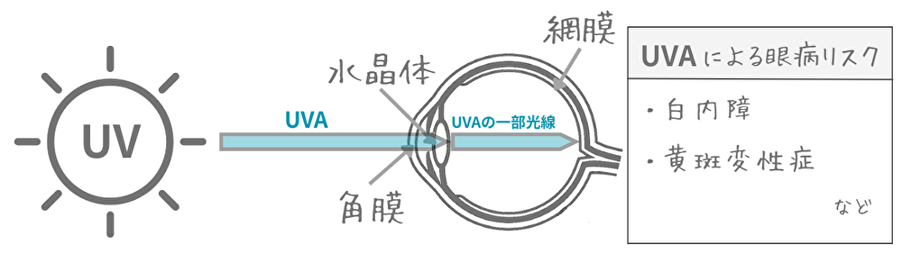 UVカット率99%　UV400　違い