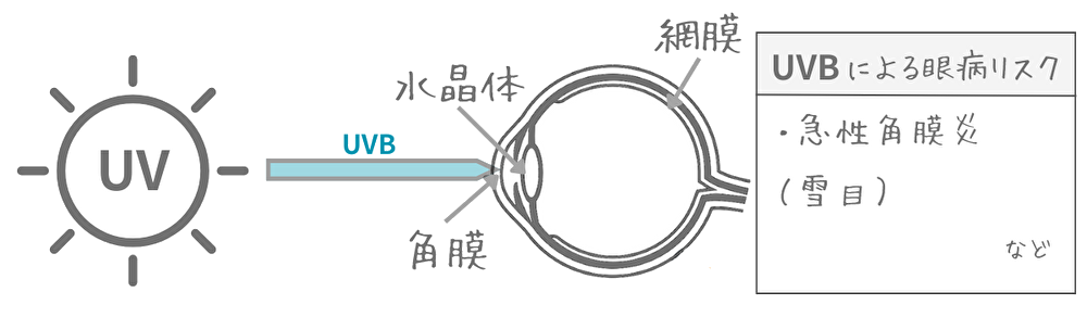 UVカット率99%　UV400　違い